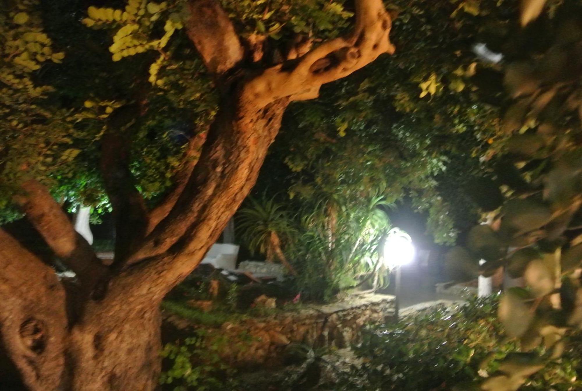 Villa Carlotta Resort San Leone Zewnętrze zdjęcie