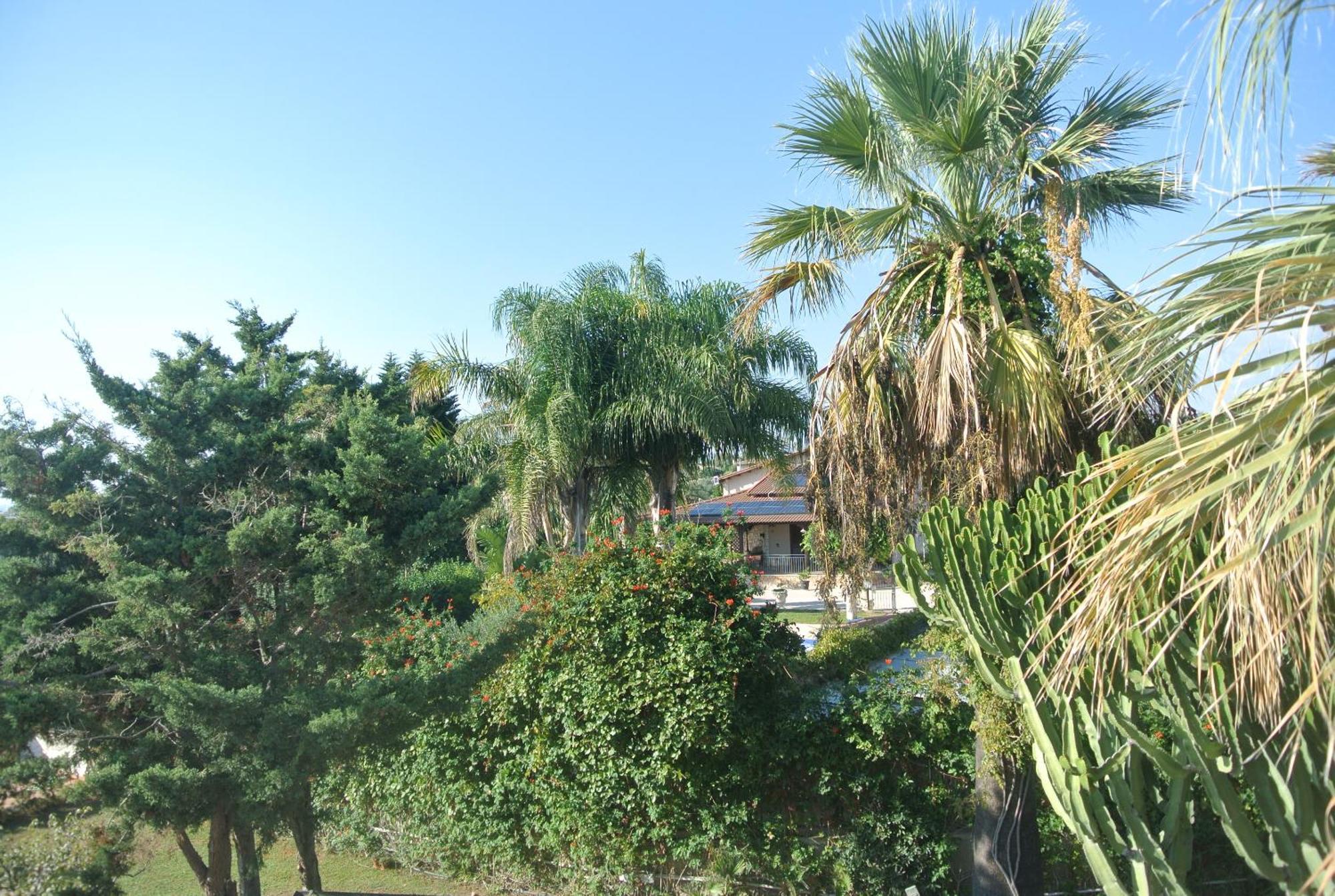 Villa Carlotta Resort San Leone Zewnętrze zdjęcie